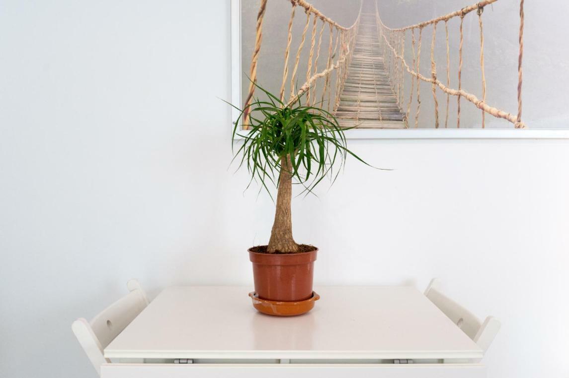 Ml1C-Prime Location Marble Apartment With Patios Malaga Luaran gambar