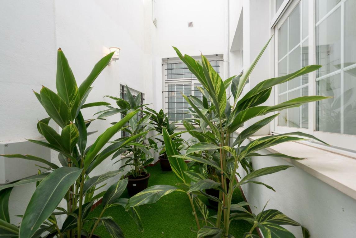 Ml1C-Prime Location Marble Apartment With Patios Malaga Luaran gambar